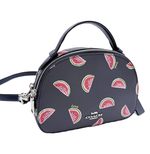 将图片加载到图库查看器，【中古】COACH コーチ スイカ柄 ショルダーバッグ 2WAY ミニバッグ 斜めがけ クロスボディ i0922lq00982
