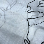 将图片加载到图库查看器，【中古】アクアスキュータム Aquascutum ストール 地図柄 コットン 透け感 薄手 ライトブルー系 i0727tq0093
